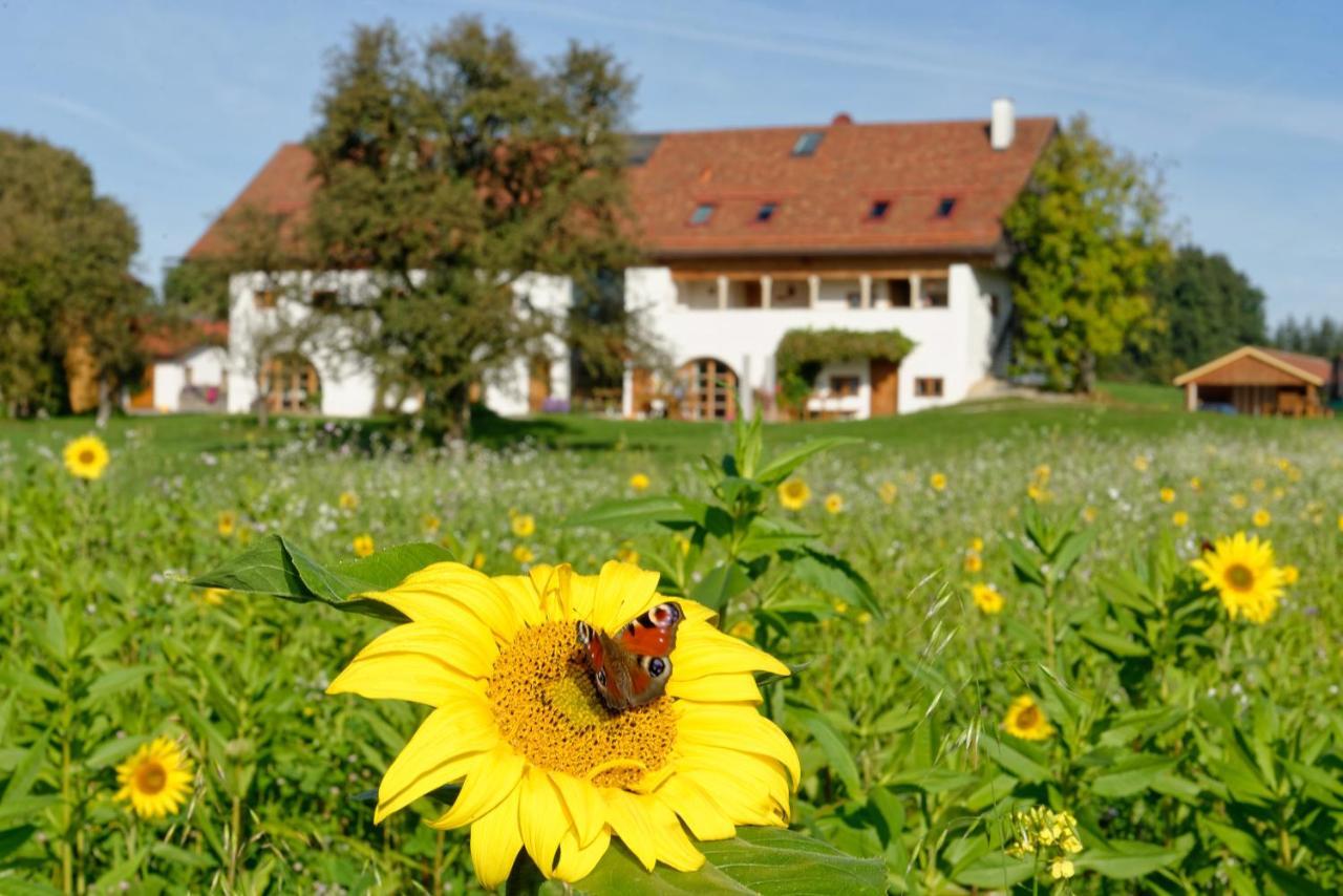 Апартаменты Hagerhof Эгштетт Экстерьер фото